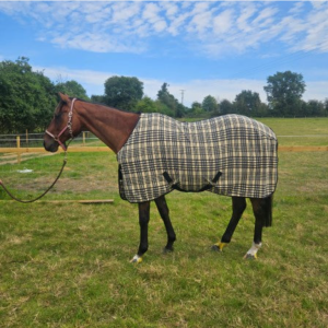 Elano Richmond Micro Fleece