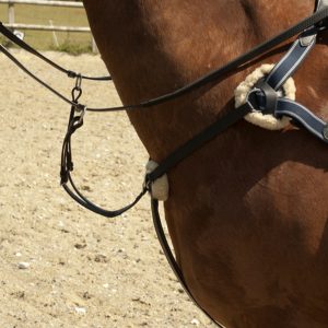 Windsor Leather Five Point Breastplate